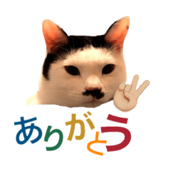 [LINEスタンプ] かんた様