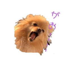 [LINEスタンプ] お姫様気分のかまってクレちゃん