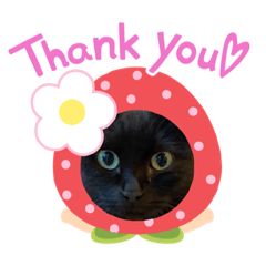 [LINEスタンプ] くろべいすたんぷ