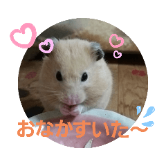 [LINEスタンプ] 可愛い毎日♪