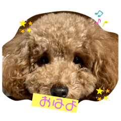 [LINEスタンプ] A-K