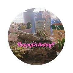 [LINEスタンプ] lycheevillage happybirthday1