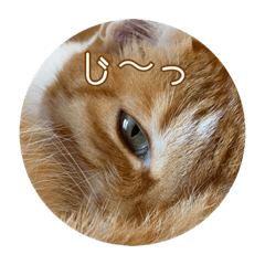 [LINEスタンプ] りゃんてスタンプ2