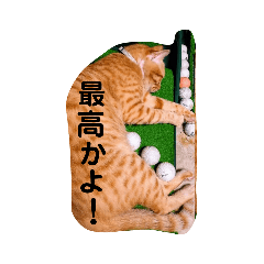 [LINEスタンプ] 茶色ねこ