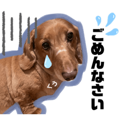 [LINEスタンプ] 愛犬くうたん『2』