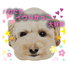 [LINEスタンプ] お友達ワンコ大集合2
