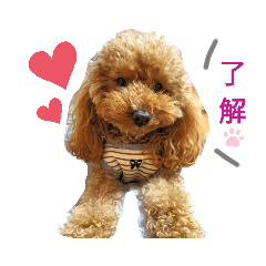[LINEスタンプ] もこラテグラム2