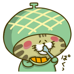 [LINEスタンプ] にゃんこ虎吉スタンプ パート13