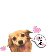 [LINEスタンプ] Love♡ちゃんたち♪