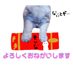 [LINEスタンプ] いぬっぽいねこちゃん