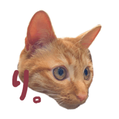 [LINEスタンプ] そらちゃんふくちゃん①