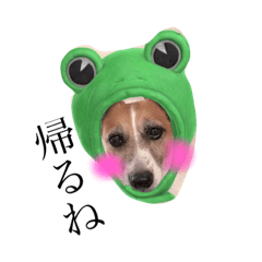[LINEスタンプ] 犬と時々大福