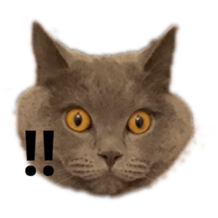 [LINEスタンプ] ウチのブリティちゃん