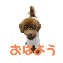 [LINEスタンプ] 10.ココ