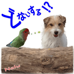 [LINEスタンプ] 関西ジャック Part2