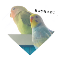 [LINEスタンプ] おもちゅんSTYLE♡