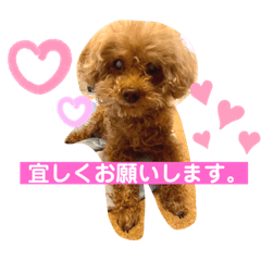 [LINEスタンプ] アップルちゃんの日常会話Vol.2