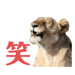[LINEスタンプ] ケニア☆アニマル