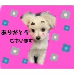 [LINEスタンプ] りたまるです