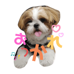 [LINEスタンプ] もぐすたんぷ