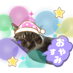 [LINEスタンプ] ゆうこの猫スタンプ2