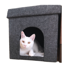 [LINEスタンプ] しろねこうゆ