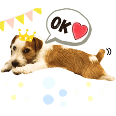 [LINEスタンプ] ジャックラッセル♡Chloe 時々ゴリラーズ