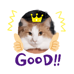 [LINEスタンプ] ノルウェー猫 Leoの毎日