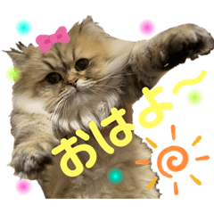 [LINEスタンプ] ミモザちゃんスタンプ
