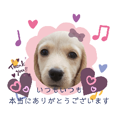 [LINEスタンプ] マロン大人の敬語