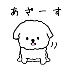 [LINEスタンプ] 白いもふもふトイプードルスタンプ 第2弾