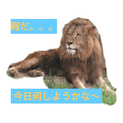 [LINEスタンプ] 動物の気持ち2