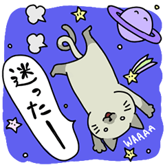 [LINEスタンプ] 方向音痴の猫こごみちゃん