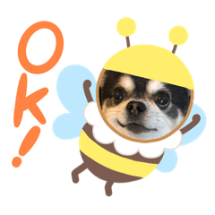 [LINEスタンプ] たわ君スタンプ