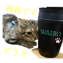 [LINEスタンプ] ひまにゃん 9