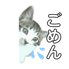 [LINEスタンプ] サクちゃんスタンぷ