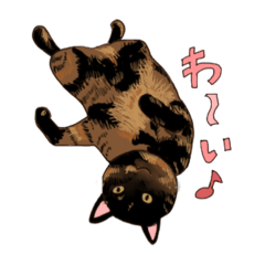 [LINEスタンプ] ねこのスタンプ 1