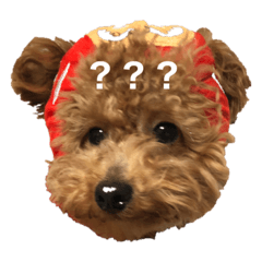 [LINEスタンプ] ぷらむちゃん