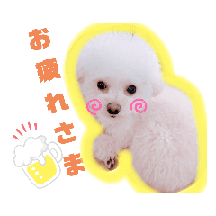 [LINEスタンプ] もふココ2