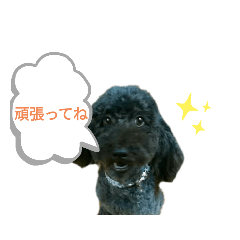 [LINEスタンプ] 我が家のハッピー！！