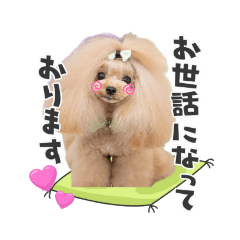 [LINEスタンプ] 日常会話B.R.N.M