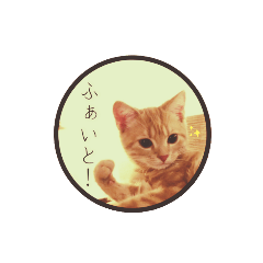 [LINEスタンプ] こむぎ【日常編②】