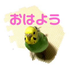 [LINEスタンプ] yuzuのお話1