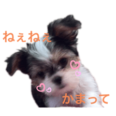 [LINEスタンプ] もも821