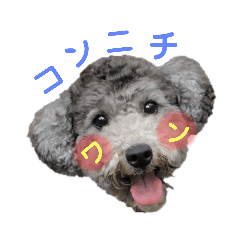 [LINEスタンプ] ◎ ぷーたろくん ◎
