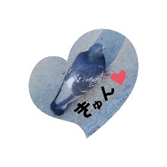 [LINEスタンプ] ハト命