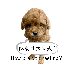 [LINEスタンプ] 病気で苦しい時はスタンプ会話が楽ですよ。