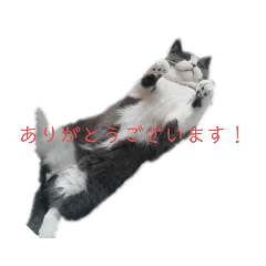 [LINEスタンプ] みんなのここくん