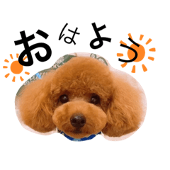 [LINEスタンプ] そらと璃空(1)