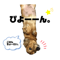 [LINEスタンプ] どんなときも可愛いチェーさん